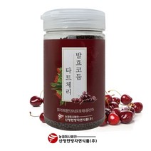 산청 한방 자연식품 발효 코듐 타트체리 환, 1병(350g)