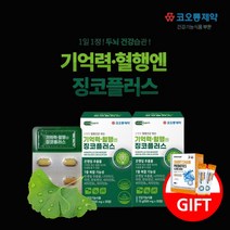 두뇌 머리 기억력 집중력 혈행 감퇴 억제 관리 개선 에 좋은 은행잎 징코 ginko 추출물 보조 영양제 중년 노년 여성 남성 (사은품 증정), 2BOX(2개월분)+사은품1개