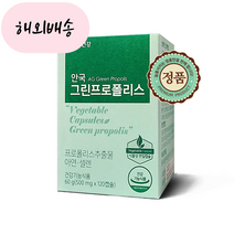 안국 그린프로폴리스 500mg 120캡슐 1박스, 1개, 120개