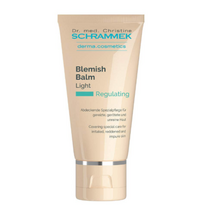 닥터 슈라멕 BB크림 블레미쉬 밤 라이트 레귤레이팅 40ml, 1개, 기본