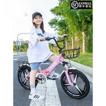 미니벨로 접이식 폴딩 접는 출퇴근 자전거, 핑크 16인치