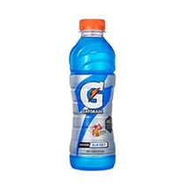 게토레이 블루볼트 펫, 500ml, 12개입