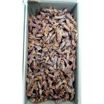 진성수산 최상급 남해안 햇 꼴뚜기 건꼴뚜기 국산 750g
