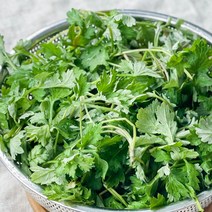 거문도 생쑥 햇쑥 1kg, 거문도 무농약 생쑥 1kg