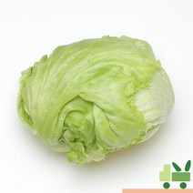 사라상회 양상추 (3봉) 1.5g, 3개