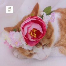 용용펫 강아지 고양이 꽃 목걸이 (파란색 흰색 분홍색), 분홍색