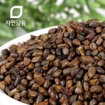 자연닮음 국산 결명자차 600g