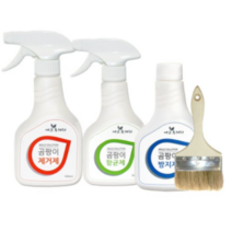 에코후레쉬 곰팡이제거제 500ml + 곰팡이향균제500ml + 곰팡이방지제500ml + 붓, 10세트