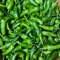 금성식품 중국식품 매운고추 중국고추 라메이즈 장조림고추 B품 400g