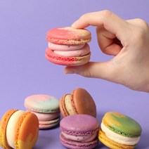 설롱디저트 프리미엄 수제 마카롱 6구 세트 카페 디저트 쿠키, 달달세트