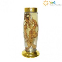 용천자연유리 담금주병 수동 28호 2L, 5개