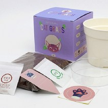 냥집사 캣닢키우기 화분재배키트 귀리 보리 캣닢 밀싹, 귀리싹
