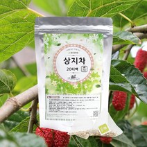상지차 30g 20티백, 1팩