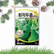 흰작두콩 씨앗 10립 비넝쿨 작두콩씨 일년생 종자