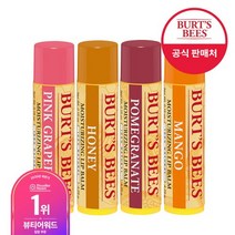 BURTSBEES 모이스춰라이징 립밤 4.25g x2 (택1), 07 망고x2, 07 망고x2
