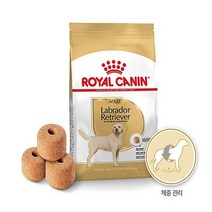 로얄캐닌 어덜트 독 라브라도 리트리버 13kg, 12kg, 1