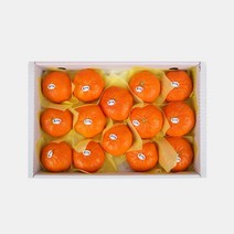 제주산 레드향 3kg 제주도 제주 자연산 자연숙성 청정 무착색 귤 감귤, 상세 참조