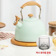 YYDS 레트로 스테인리스 멜로디 스텐주전자 인덕션적용 2.5L 민트 그린