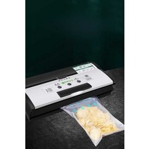 진공포장기 가정용 수비드 진공기 포장 업소용, D