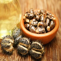 피마자오일 (Castor Oil)1L