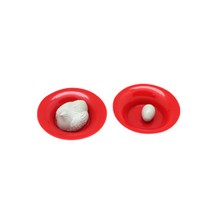 비둘기 알(Dove Egg)