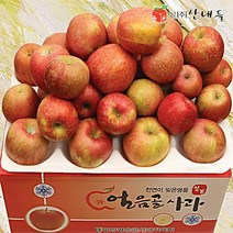 산내들 [산내들]명품 밀양얼음골 기스사과 10kg(30내), 1