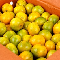 농협공판장 정성드린 제주 칠십리 노지감귤 5kg(M-2S)