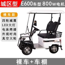 골프전동카트 골프장카트 미니 버스 전기 4 륜차 E600 골프 카트 경치 좋은 공원 관광 자동차 노인 교통 배터리, [01] E600+800W+베어카+카포트, [01] 60V