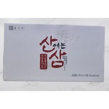 종근당 산삼배양근 산에는삼 100ml * 10병