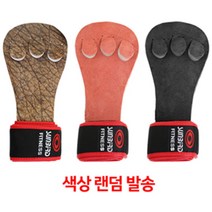 5myshop_썬버드 3구 헬스 역도 장갑 850 밴드부착형 랜덤 벤치 다용도 프레스 용품 그립운동_5myshop, 무옵션상품임!!