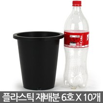 플라스틱 중형 재배분 7호(10개) - 원형 화분 플분 녹차 양란 난화분 란화분 난재배분 양란화분 난재배 녹차재배분 긴화분, 03_청운_재배분(6호) X 10개