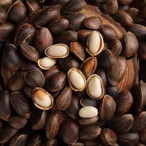 햇 브라질너트 넛 잣 대형 견과류 Yunnan 원시 소나무 는 신선한 원래 손으로 껍질을 벗긴 대량 대형 비 소나무 임산부 너트 스낵을 열지 않습니다., 신선한 잣 50g 시음팩