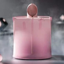 가정용 나혼자 1인용 접이식 이동식 건식 습식 스팀 사우나 기계 싸우나 찜질기 사우나기, 핑크 리모콘불포함