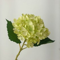 영이오브제 수국 조화 6color 인테리어 꽃다발, 그린