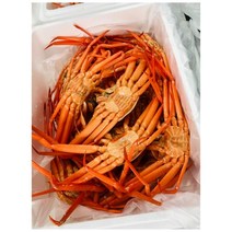 신선마켓 구룡포 홍게 대게 자숙, 자숙대게(대) 3마리(1.2KG이상)