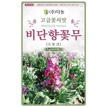 천일홍 자홍색 100립 - 야생화 씨앗 꽃씨 씨 꽃씨앗 야생화씨앗 고급꽃씨 고급꽃씨앗 천일홍씨앗 천일홍씨 천일초, 07_다농_비단향꽃무(스토크)(1g)