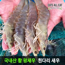 이츠올릿 국내산 활 왕새우 대하 1kg 25-35미 국산 생 냉동 흰다리 새우, 하우스 새우 1kg 25-35미, 1개