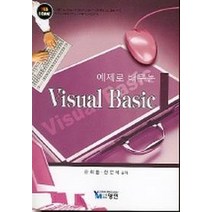 예제로 배우는 VISUAL BASIC, 영민