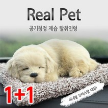 1+1숯품은 강아지 제습 탈취인형 차량용 공기정화, 골든리트리버(미니)_라부라도(리얼)