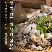 2022 국내산 통영 제철 햇굴 생굴 하프쉘 석화 삼배체 오이스터 oyster 산지직송 생굴회 김장 굴전