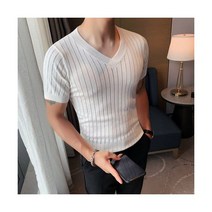 남성 캐주얼 니트 아이스 실크 티셔츠 슬림핏 V넥 반팔 여름