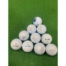 The나은골프 젝시오파이즈 혼합 로스트볼 A+ 최상급 20개 화이트