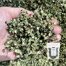 국산 2023년산 햇제피 열매 초피 천초 추어탕 재료, 100g, 1봉, 1개