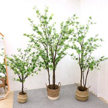PP화분 사은품증정 엔카이셔스 식물 인테리어 조화 나무 인조 화분 장식 오렌지자스민 2size, 220cm
