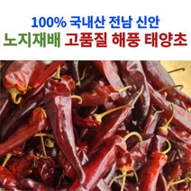 산지직송 전남 신안 고추 건고추 햇고추 태양초 마른고추 5근 10근 3kg 6kg, 100%태양초고추_6kg