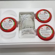 토굴 안애 광천 양념 젓갈 선물 세트 500g 4종, 비빔낙지+오징어젓+창란젓+꼴뚜기젓