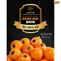 퓨어스펙 고당도 오렌지 중과(개당 190g내외), 23과