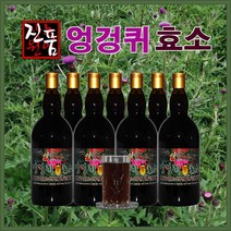 장녹원 엉겅퀴효소 1100ml, 2병