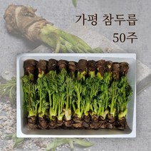 가평 참두릅 입맛을 돋궈주는 향긋한 두릅 30주 50주 65주 90주 선물세트, 참두릅 30주