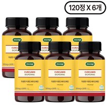 자생 커큐민 앤 바이오페린, 120정, 6개